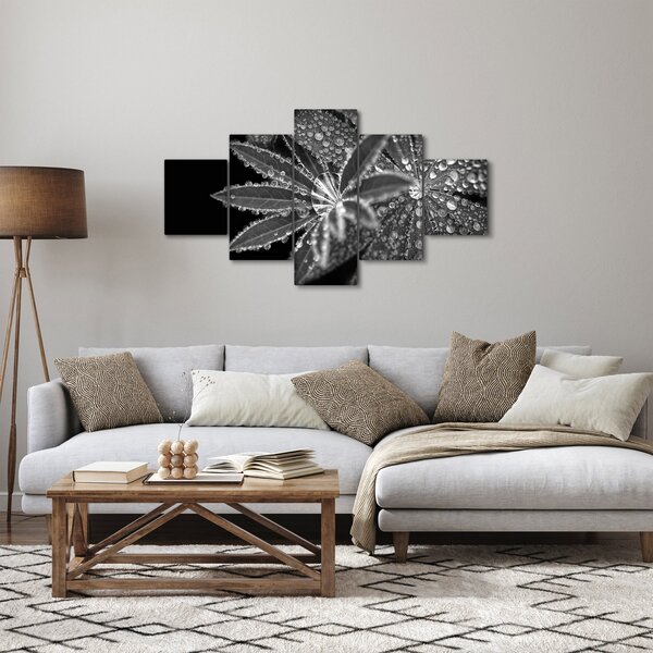 Obraz - Listy s kapkami (125x70 cm)
