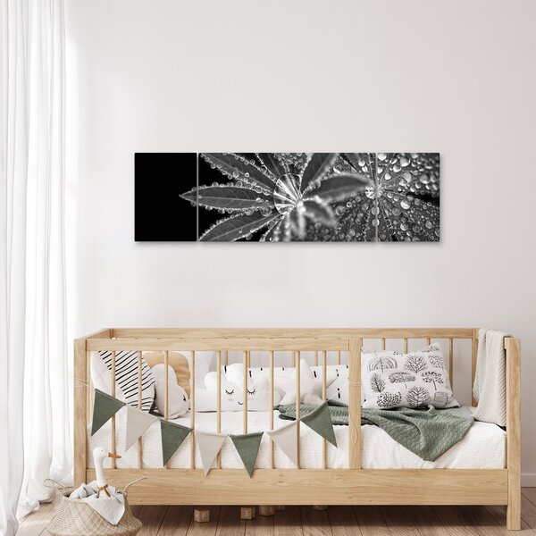 Obraz - Listy s kapkami (170x50 cm)