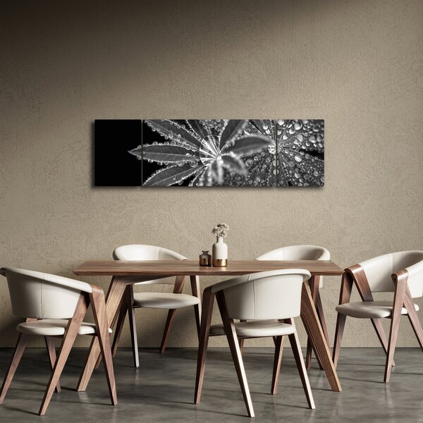 Obraz - Listy s kapkami (170x50 cm)