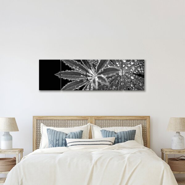 Obraz - Listy s kapkami (170x50 cm)