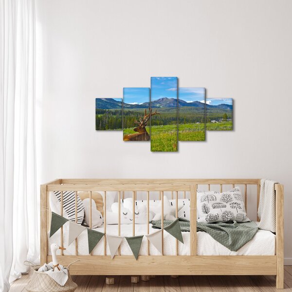 Obraz - Jelen v louce (125x70 cm)