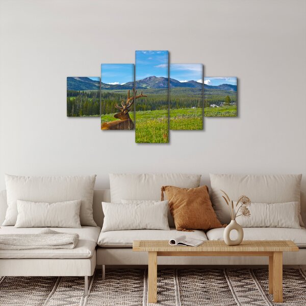 Obraz - Jelen v louce (125x70 cm)