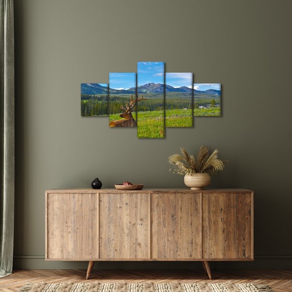 Obraz - Jelen v louce (125x70 cm)
