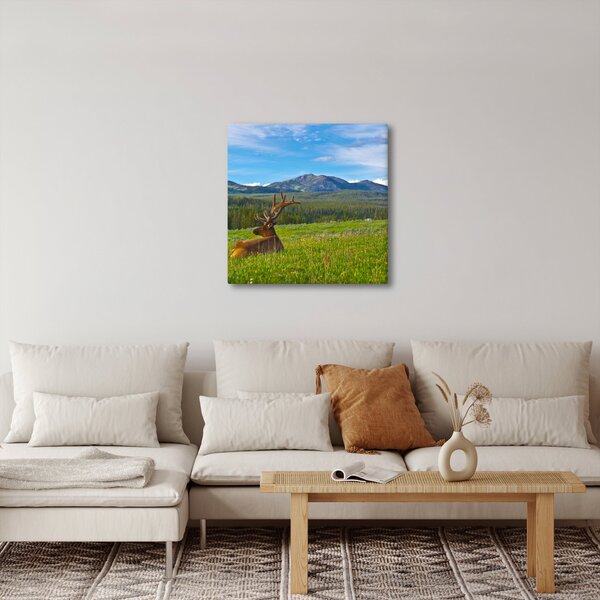 Obraz - Jelen v louce (30x30 cm)