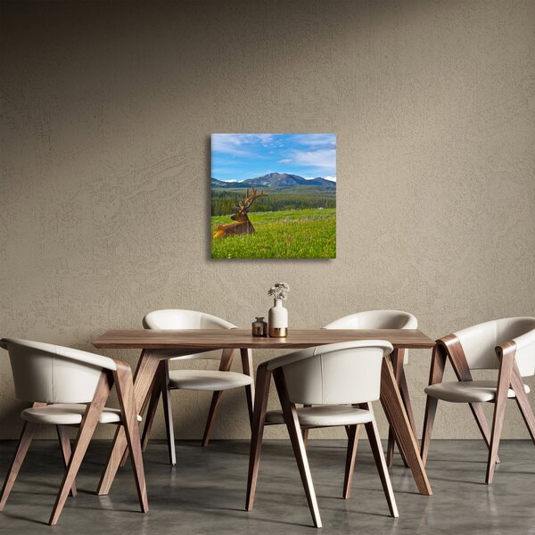 Obraz - Jelen v louce (30x30 cm)