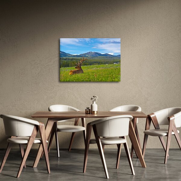 Obraz - Jelen v louce (70x50 cm)