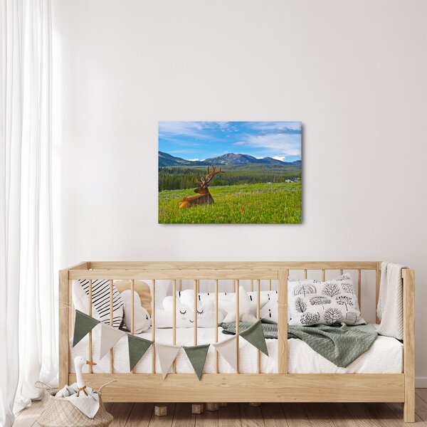 Obraz - Jelen v louce (70x50 cm)