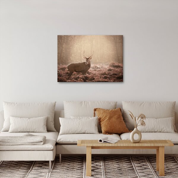 Obraz - Jelen v lese (70x50 cm)