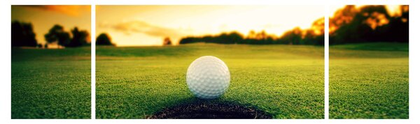 Obraz - Golf (170x50 cm)