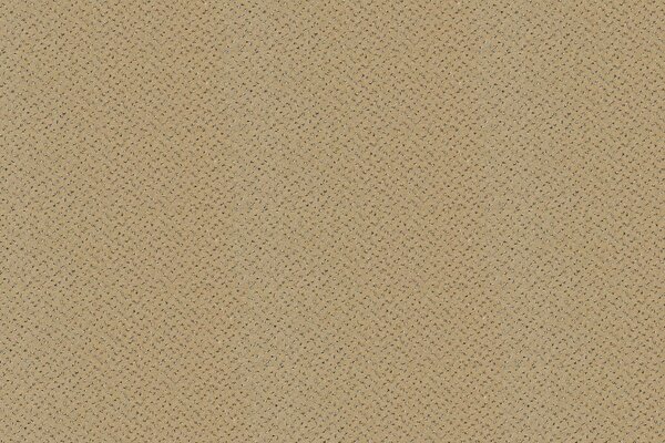 Balta koberce Metrážový koberec Fortesse SDE New 138, zátěžový - Bez obšití cm