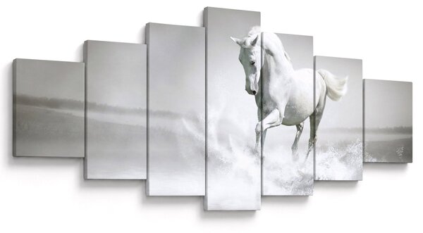 Obraz - Bílý kůň (210x100 cm)