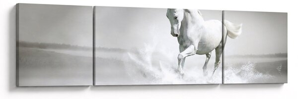 Obraz - Bílý kůň (170x50 cm)