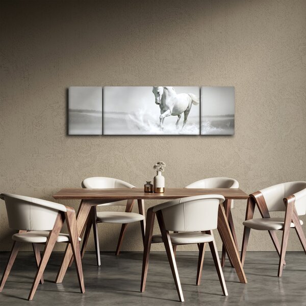 Obraz - Bílý kůň (170x50 cm)