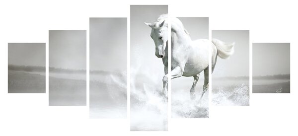 Obraz - Bílý kůň (210x100 cm)