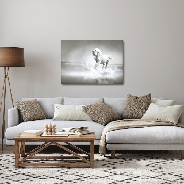 Obraz - Bílý kůň (70x50 cm)