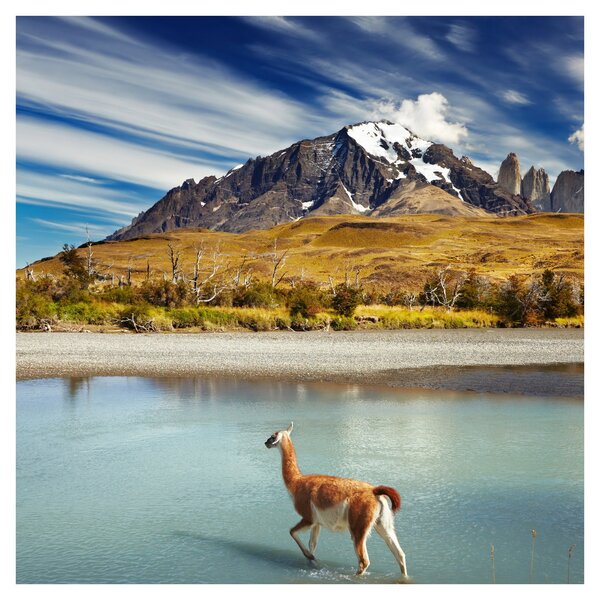 Obraz - Národní park Torres del Paine (30x30 cm)