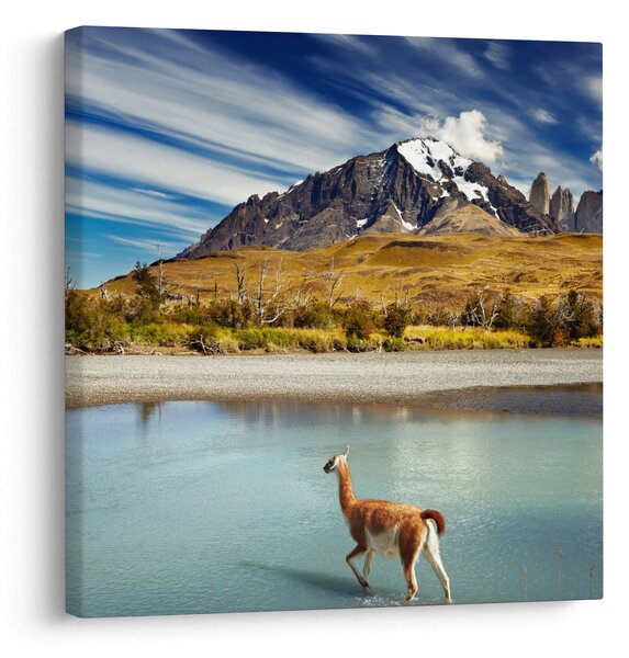 Obraz - Národní park Torres del Paine (30x30 cm)