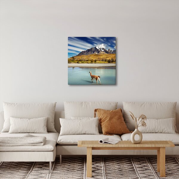 Obraz - Národní park Torres del Paine (30x30 cm)