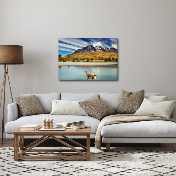 Obraz - Národní park Torres del Paine (70x50 cm)