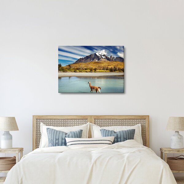 Obraz - Národní park Torres del Paine (70x50 cm)