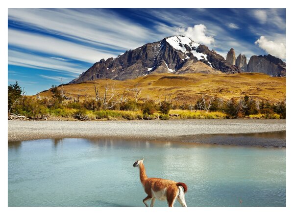 Obraz - Národní park Torres del Paine (70x50 cm)