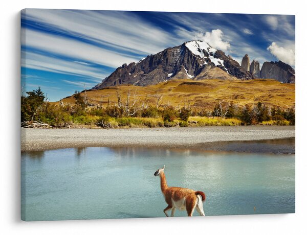 Obraz - Národní park Torres del Paine (70x50 cm)