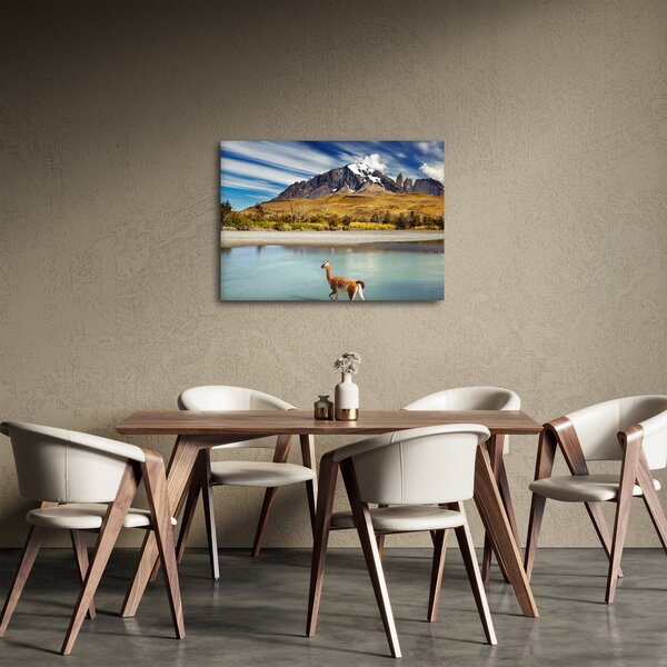 Obraz - Národní park Torres del Paine (70x50 cm)