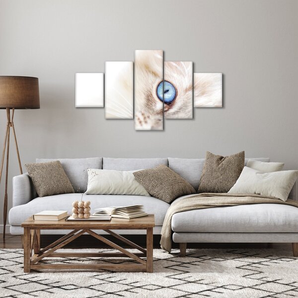 Obraz - Koťátko (125x70 cm)