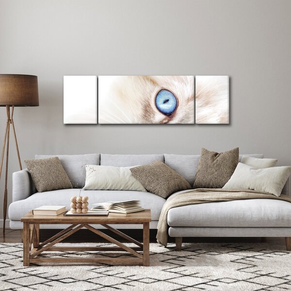 Obraz - Koťátko (170x50 cm)