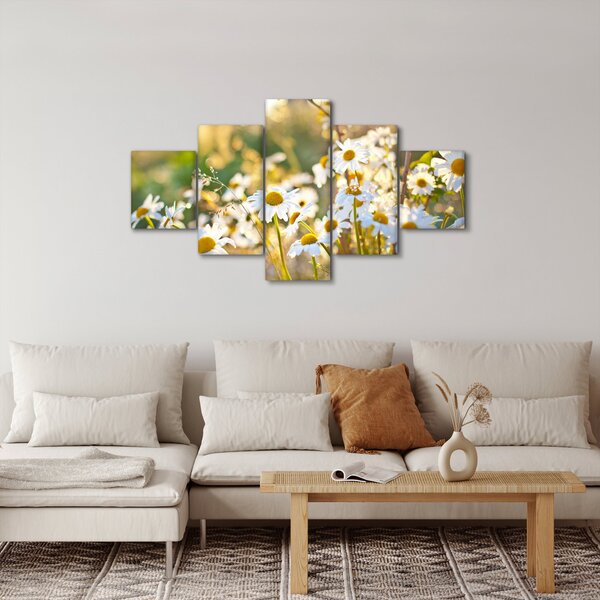 Obraz - Kopretiny (125x70 cm)