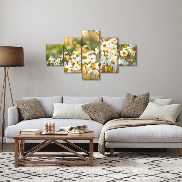 Obraz - Kopretiny (125x70 cm)