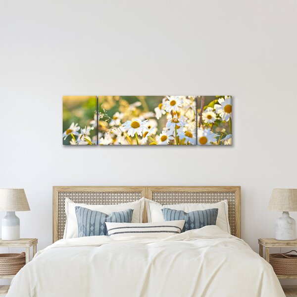 Obraz - Kopretiny (170x50 cm)