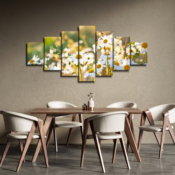Obraz - Kopretiny (210x100 cm)