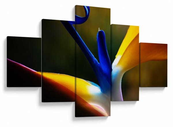 Obraz - Exotický květ (125x70 cm)