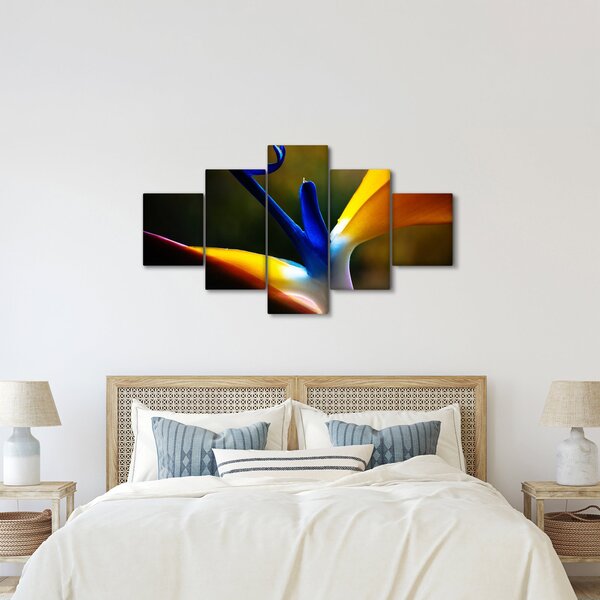 Obraz - Exotický květ (125x70 cm)