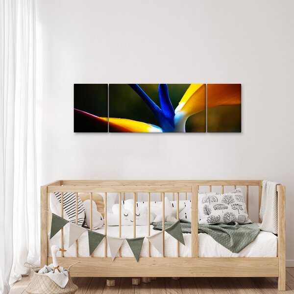 Obraz - Exotický květ (170x50 cm)