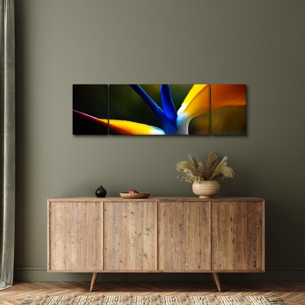 Obraz - Exotický květ (170x50 cm)