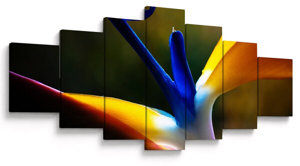 Obraz - Exotický květ (210x100 cm)