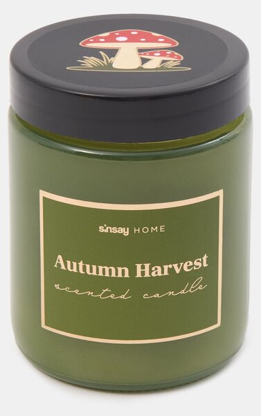 Sinsay - Svíčka Autumn Harvest - neonová
