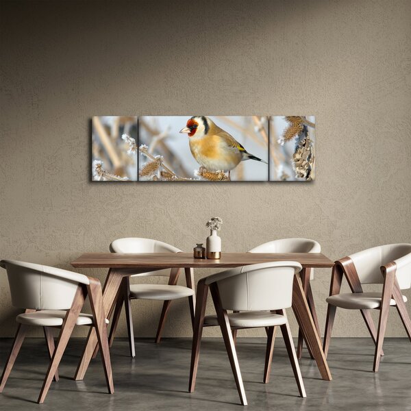Obraz - Stehlík (170x50 cm)