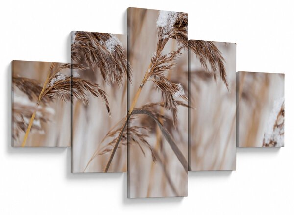 Obraz - Lipnice (125x70 cm)