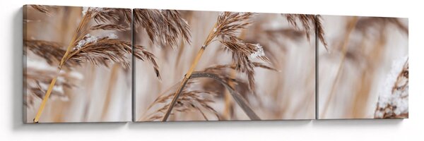 Obraz - Lipnice (170x50 cm)