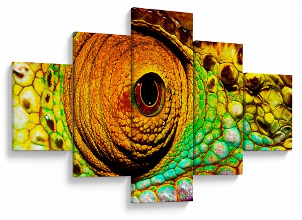 Obraz - Chameleon (125x70 cm)