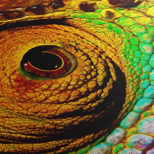 Obraz - Chameleon (210x100 cm)