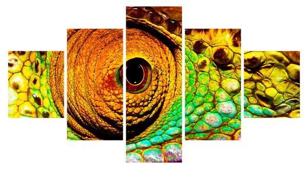 Obraz - Chameleon (125x70 cm)