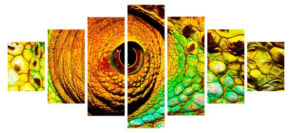 Obraz - Chameleon (210x100 cm)