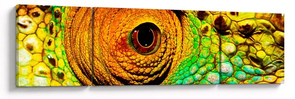 Obraz - Chameleon (170x50 cm)