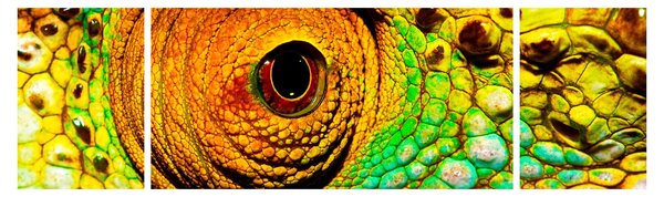 Obraz - Chameleon (170x50 cm)