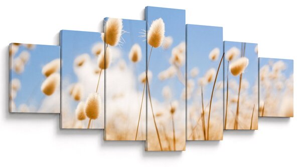 Obraz - Zlaté pole (210x100 cm)
