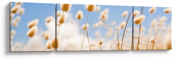 Obraz - Zlaté pole (170x50 cm)
